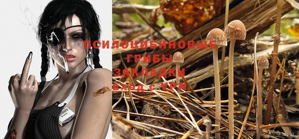 молекула духа Киреевск
