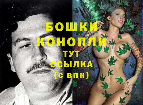 молекула духа Киреевск