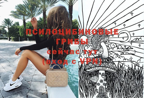 молекула духа Киреевск